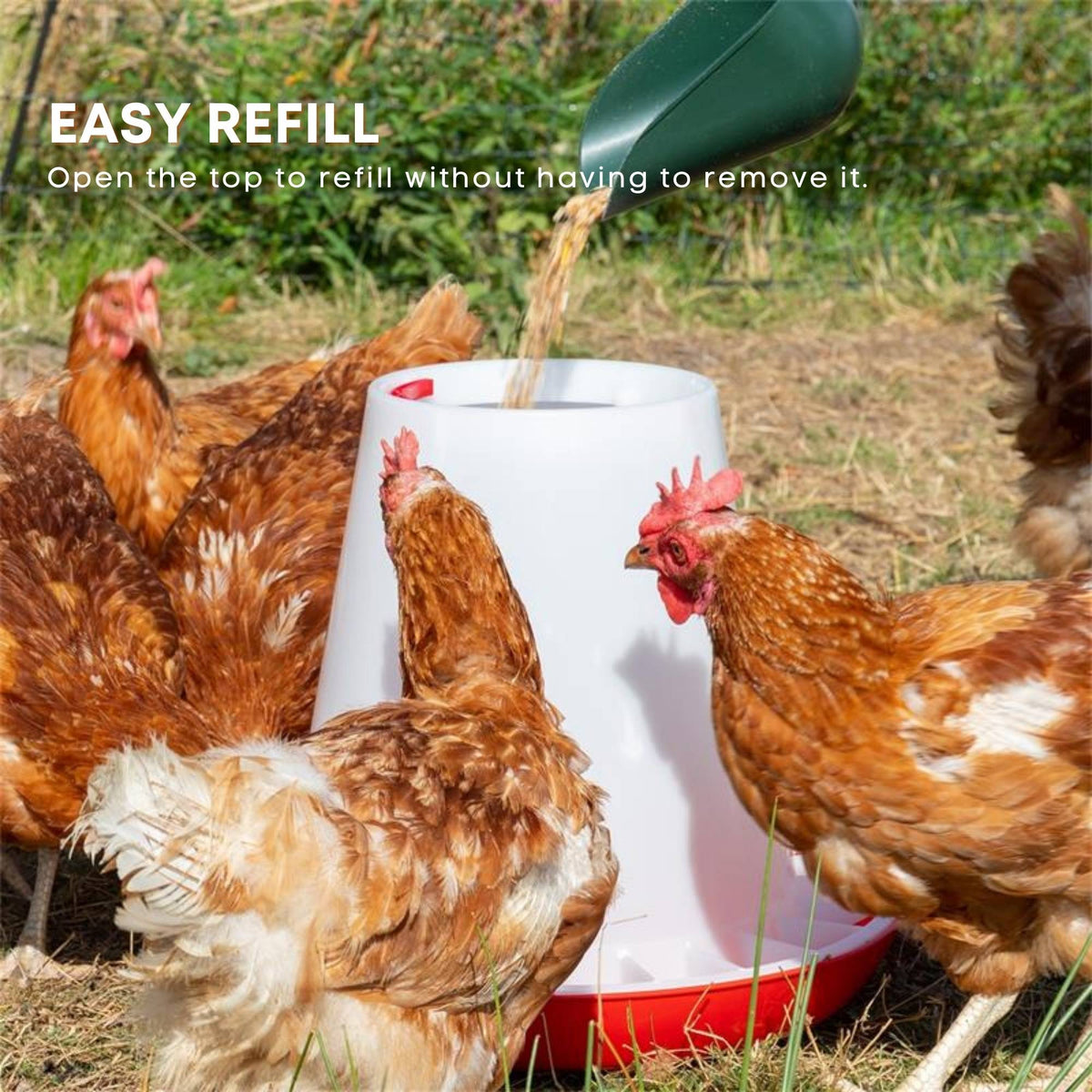 Rooster Farms 1.5Kg Automatic Chicken Feeder - Poultry Hen Feeding Seed Bucket-1