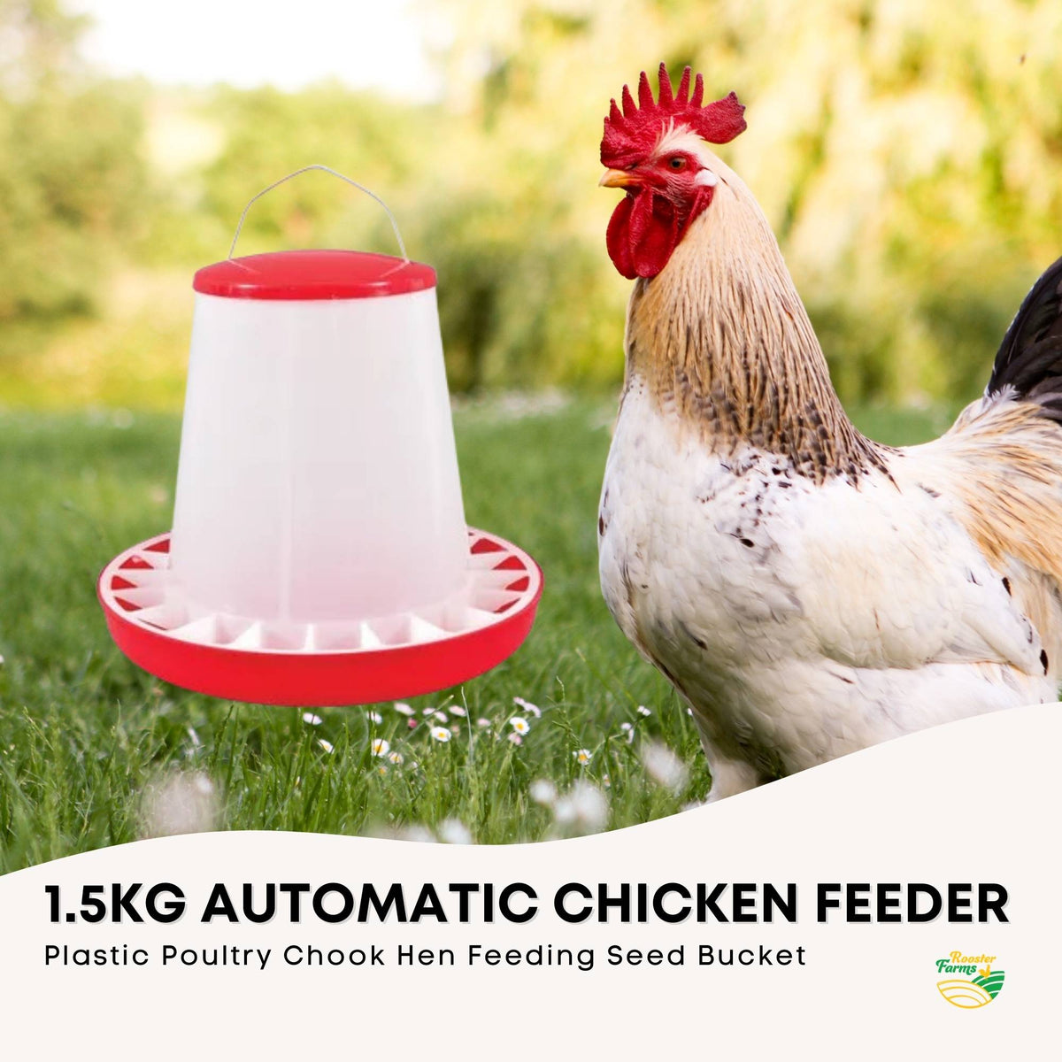 Rooster Farms 1.5Kg Automatic Chicken Feeder - Poultry Hen Feeding Seed Bucket-2