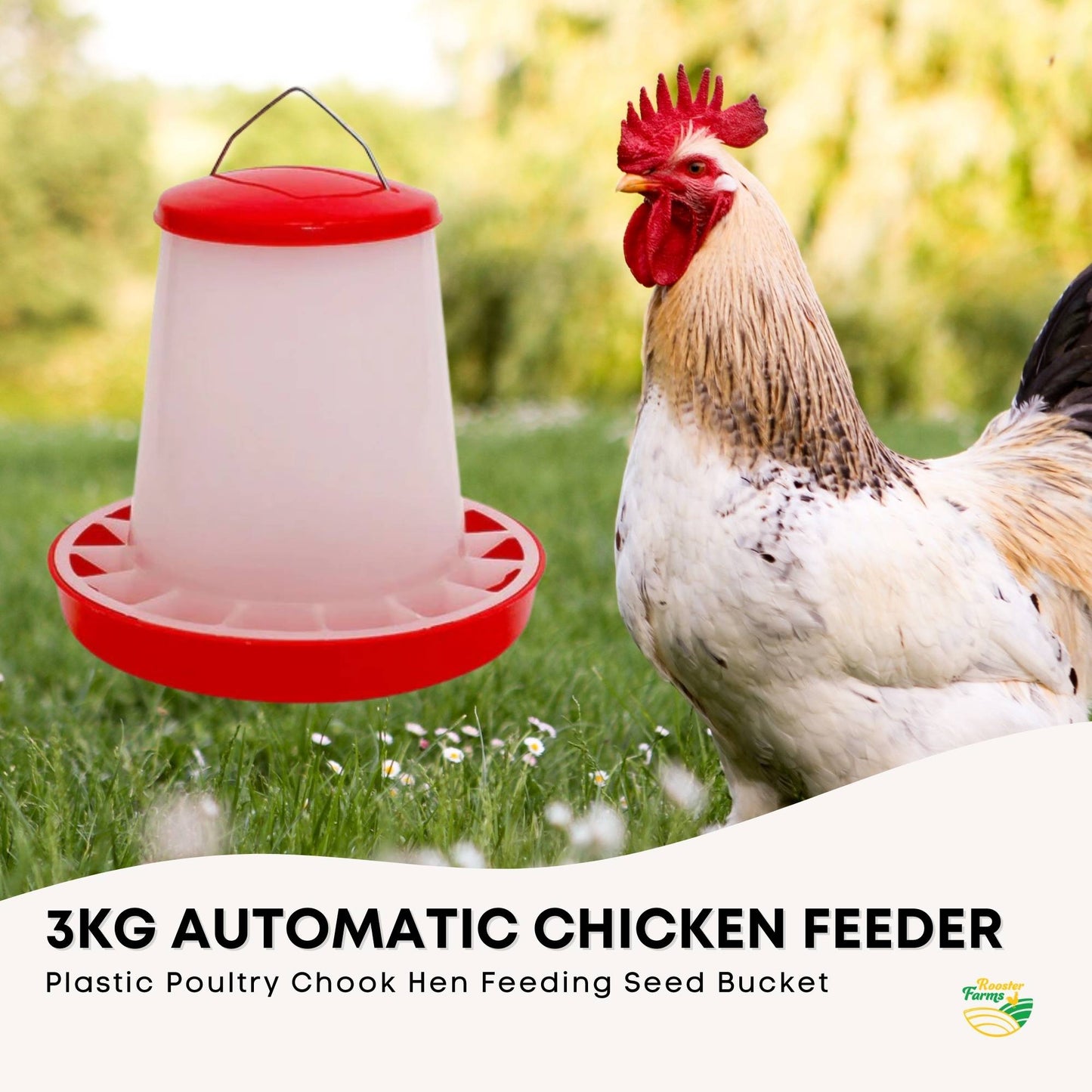 Rooster Farms 3Kg Automatic Chicken Feeder - Poultry Hen Feeding Seed Bucket-1
