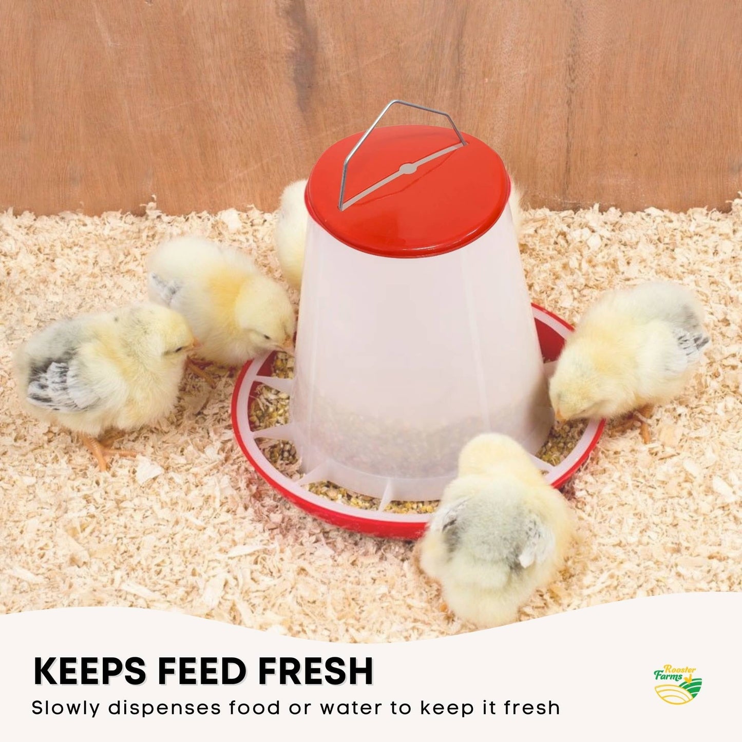 Rooster Farms 3Kg Automatic Chicken Feeder - Poultry Hen Feeding Seed Bucket-3