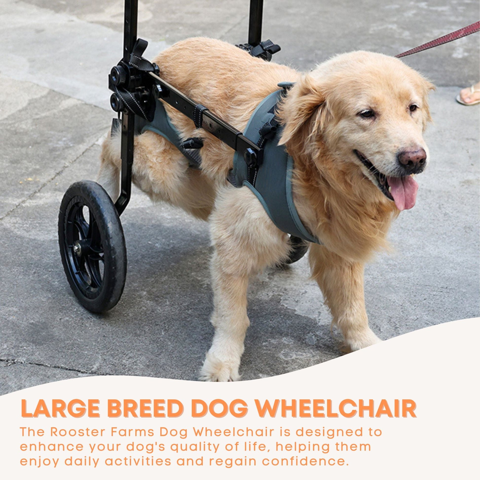 Rooster Farms Large Breed Dog Wheelchair - Adjustable Back Hind Leg Mobility Aid-3