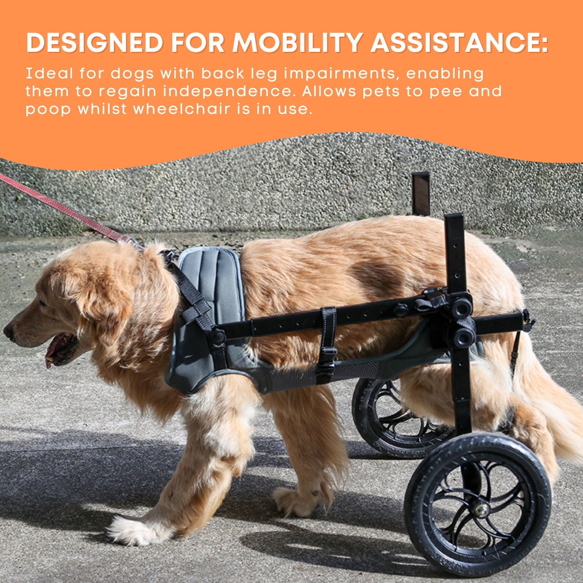 Rooster Farms Large Breed Dog Wheelchair - Adjustable Back Hind Leg Mobility Aid-4