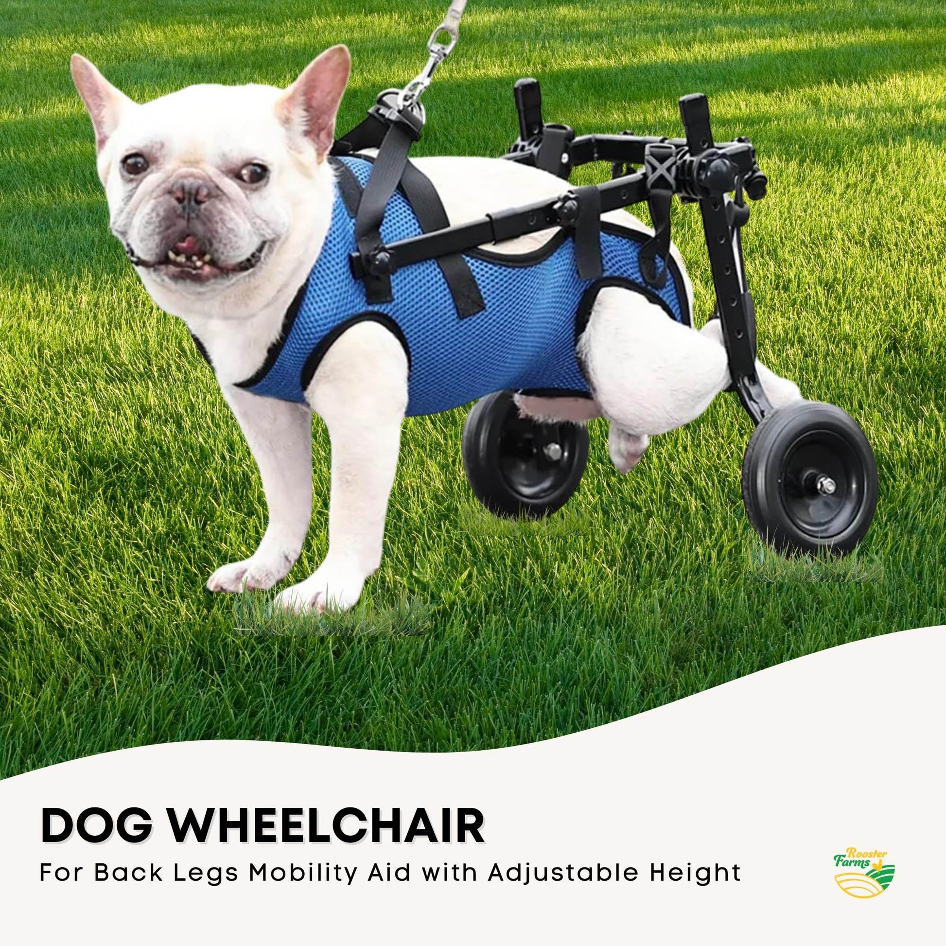 Rooster Farms Little Dog Wheelchair Small Harness - Adjustable Back Leg Aid-2