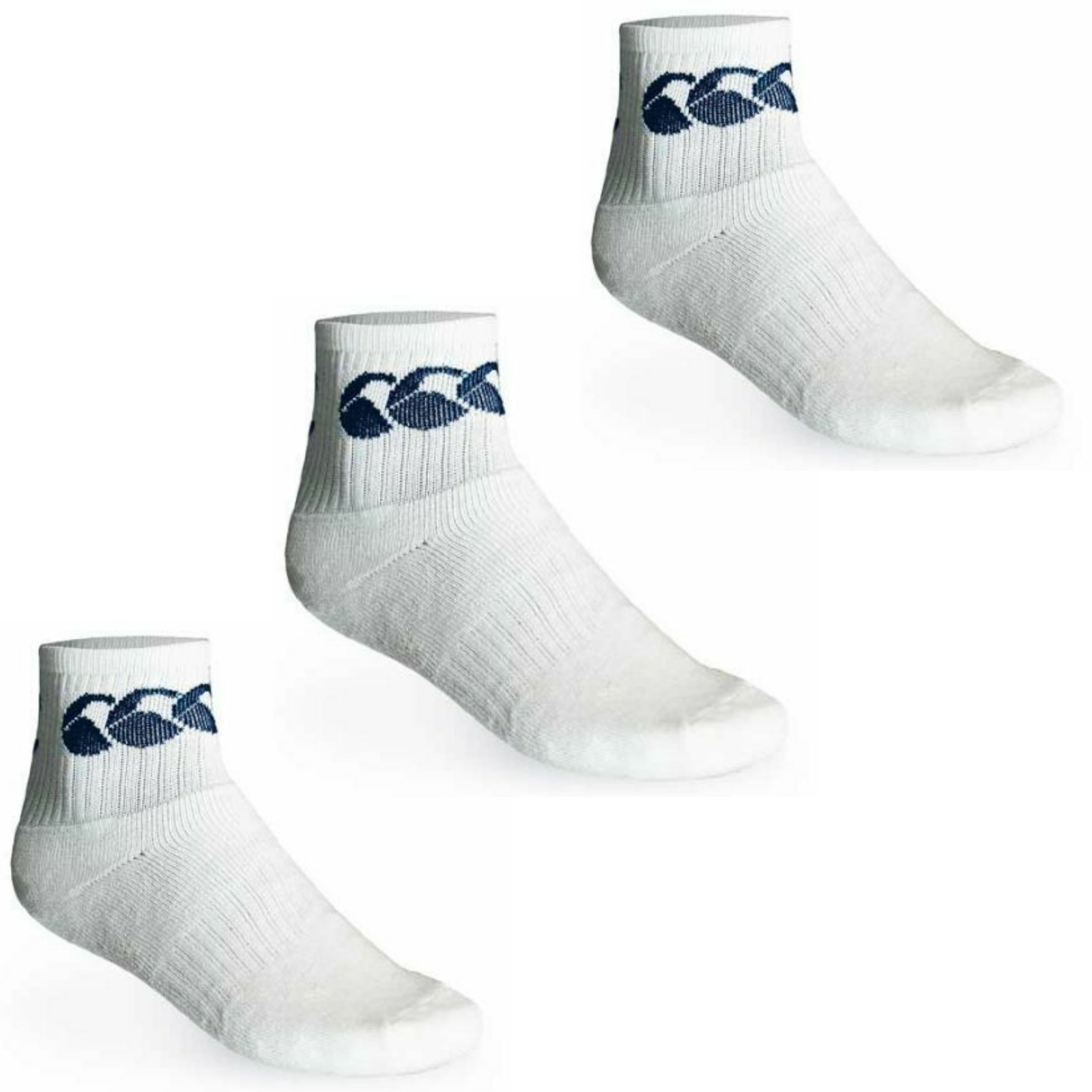 3pk CCC CANTERBURY Cotton Sport Socks Crew Pack - White/Navy-0