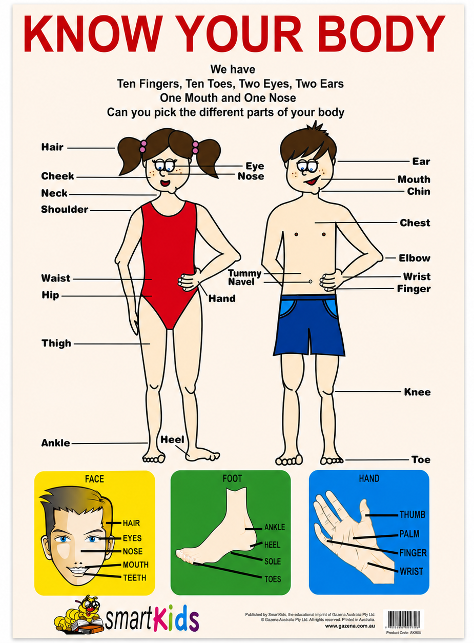 Know Your Body Educational Poster - A2 Size (Printed in Australia) - Portrait