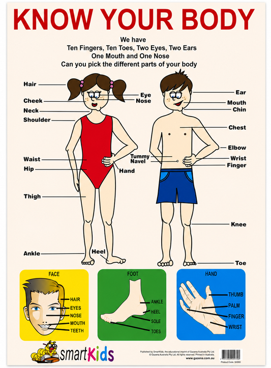 Know Your Body Educational Poster - A2 Size (Printed in Australia) - Portrait