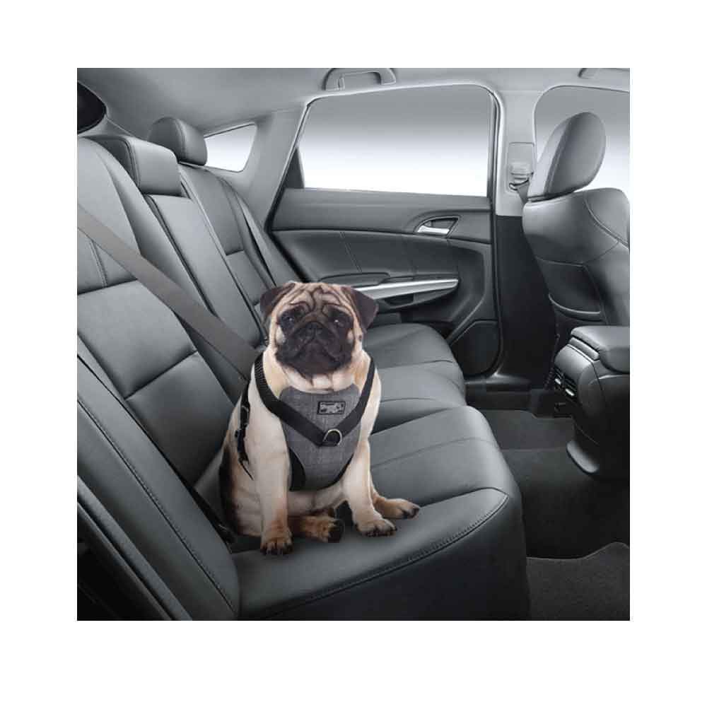XL Dog Harness 2 in 1 Combo - Car Travel Rides + Walks - No Pull Leash Seat Belt-2
