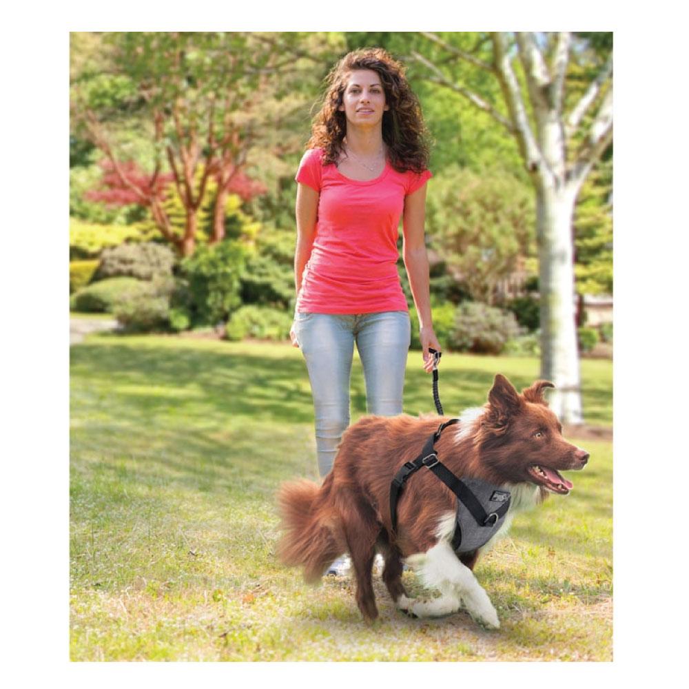 XL Dog Harness 2 in 1 Combo - Car Travel Rides + Walks - No Pull Leash Seat Belt-3