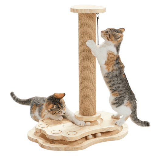 Kitty Interactive Turntable - Self-Amusement Toy-0