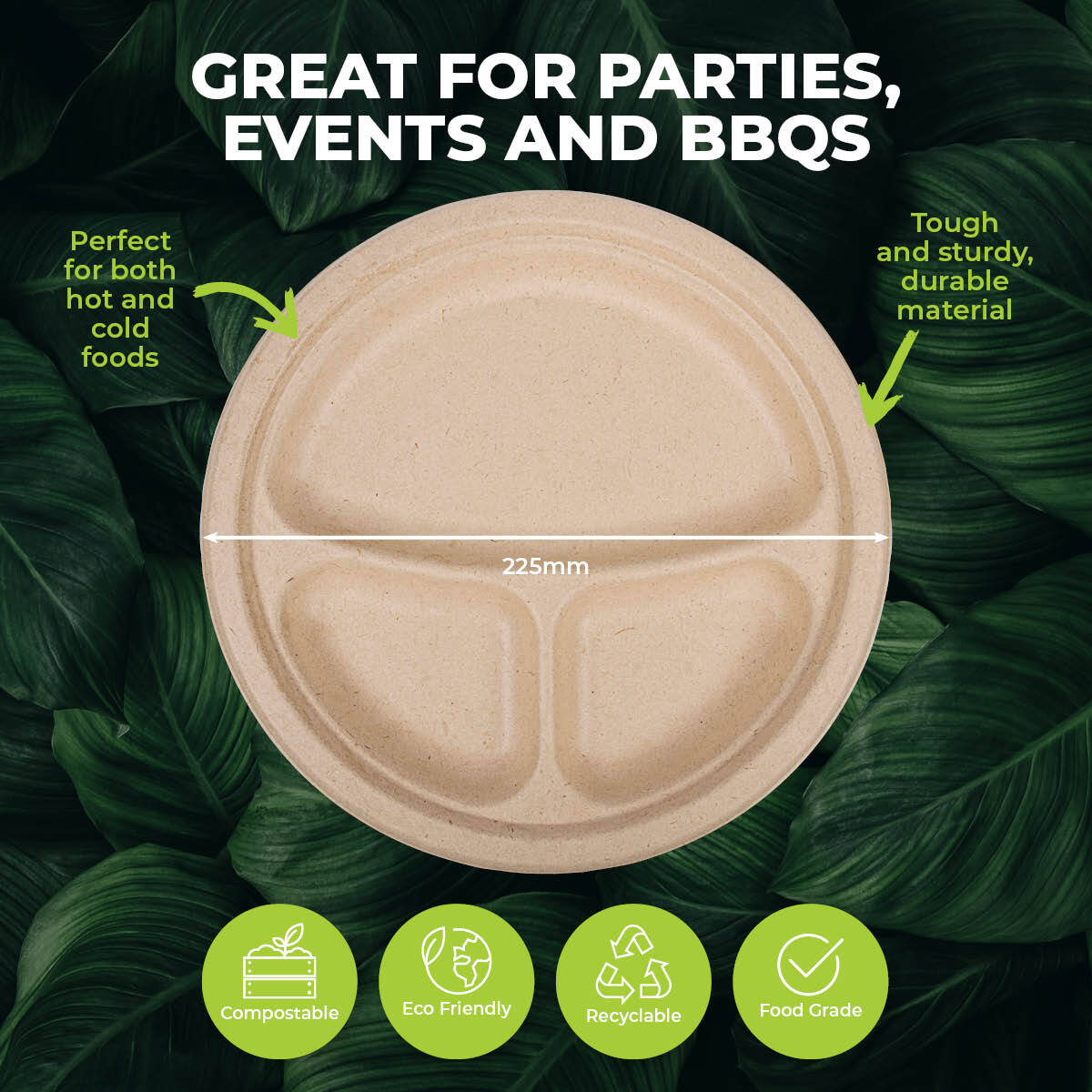 Party Central 240PCE 3 Section Plate Eco-Friendly Recyclable Durable 22.5cm