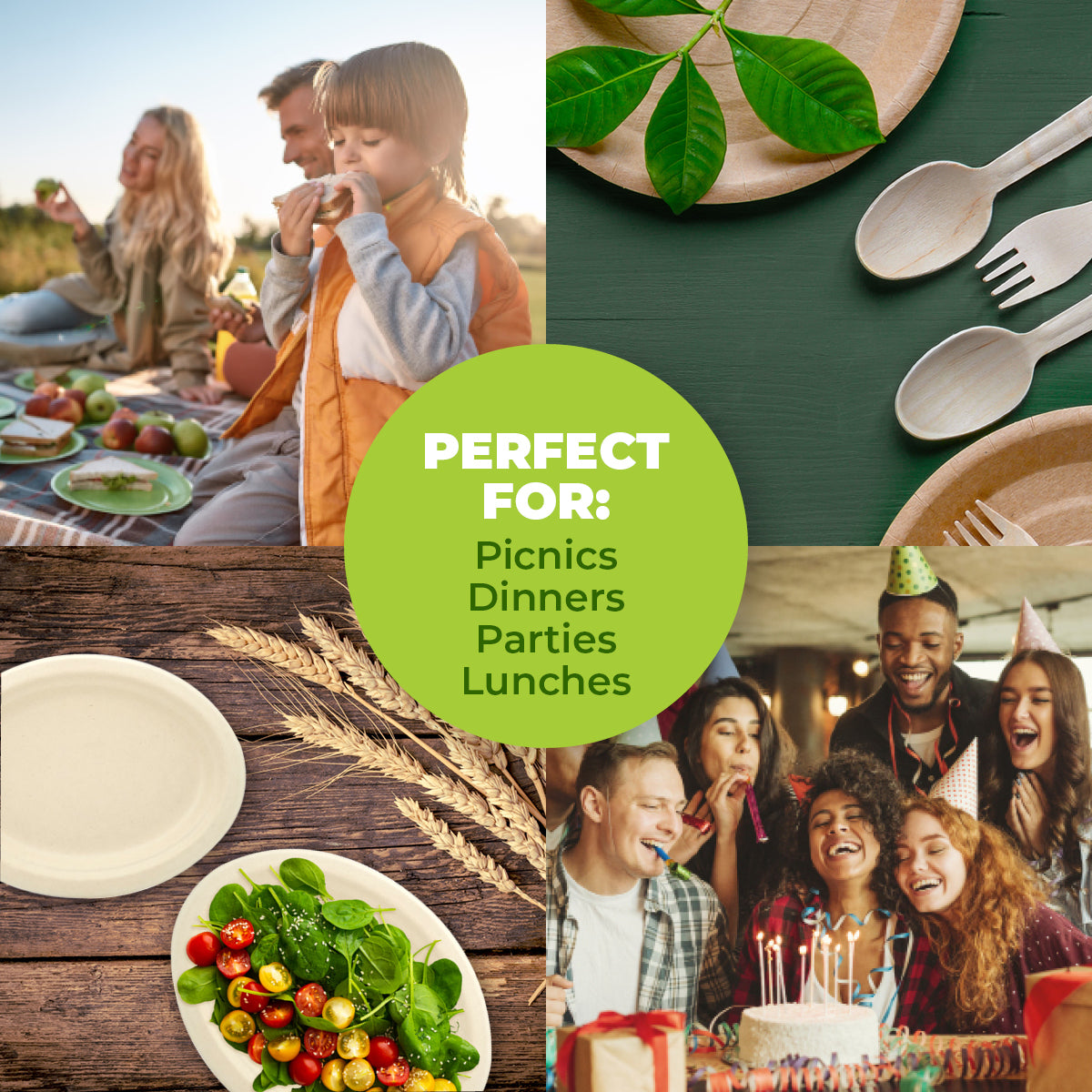 Party Central 360PCE Dinner Plates Oval Strong Eco-Friendly Disposable 26cm