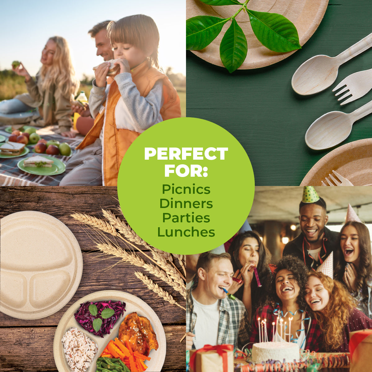 Party Central 360PCE Dinner Plates 3 Sections Eco-Friendly Disposable 23cm